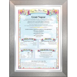 Premium Pewter Silver Frame - Red Style USA - Birthday News Certificate